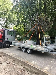 Transport van fundament en gedenkboom op begraafplaats Ridderkerk