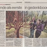 gedenkboom voor babies en kinderen